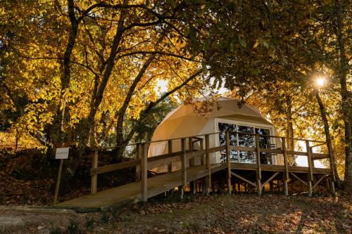 Carregal do Sal Other | Manteiros Glamping