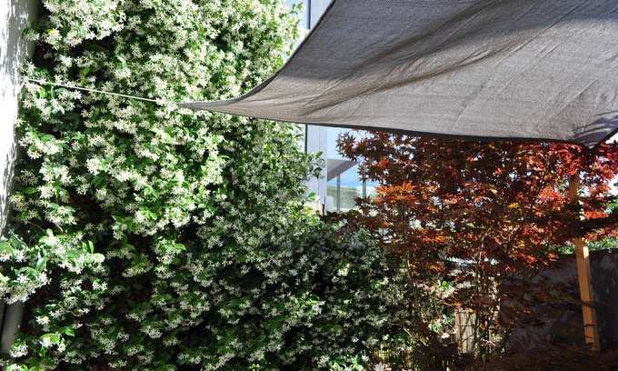 Sainte-Marguerite Apartment | Maple 1