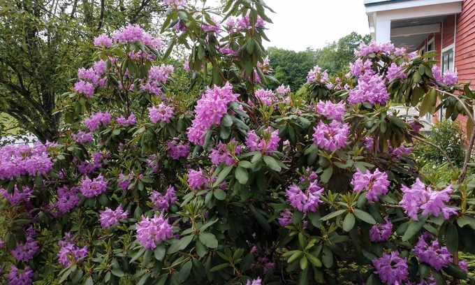 Hallowell Bed & Breakfast | Maple Hill Farm Inn
