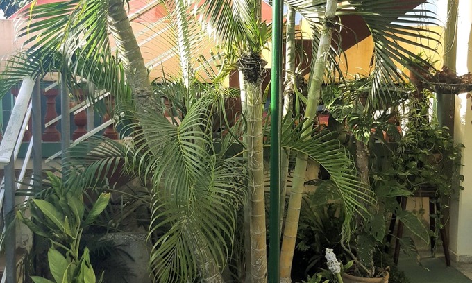 Santa Marta House | Mara Hostal