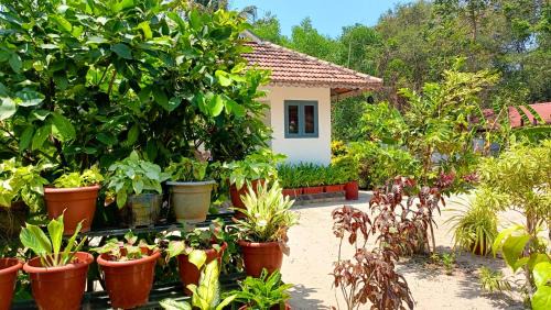Mararikulam House | MARARI YOGA HOMESTAY
