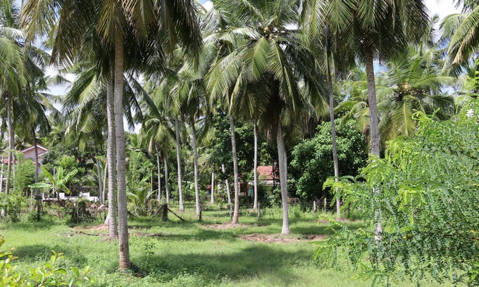 Nattandiya House | Marawila Residence