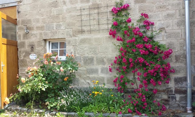 Oberzissen Bed & Breakfast | Marcos Heuboden