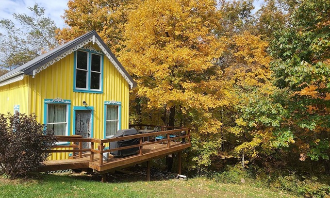 Carpenter Cabin | Mardi Gras House - cozy cabin on a peaceful farm
