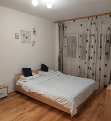 Focsani Apartment | Mari
