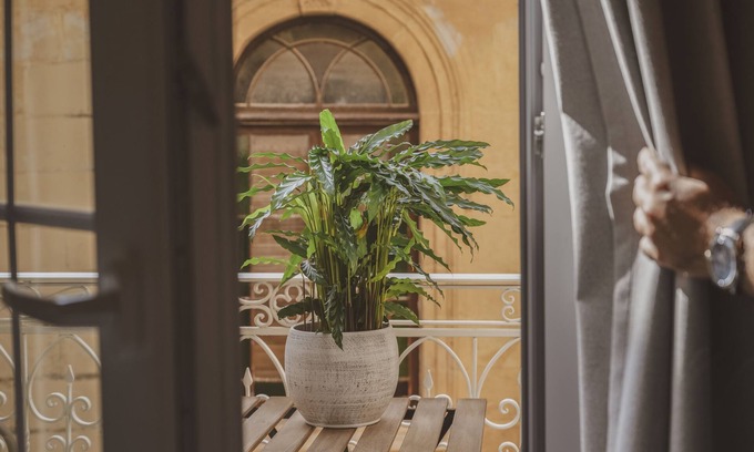 Victoria Bed & Breakfast | Maria Rosa Suites