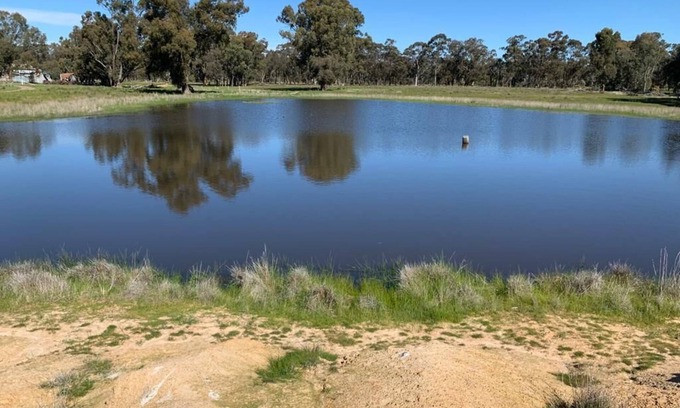 Violet Town Other | Mariam Farm stay next to Hume Highway