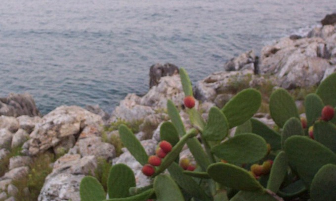 Marina di Andrano House | Marina di Andrano Landscape