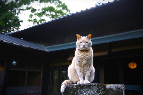 Tenryu House | Maroya - Vacation STAY 16538