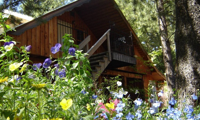 Whitefish Apartment | Martins Vacation Rental Log Cabin
