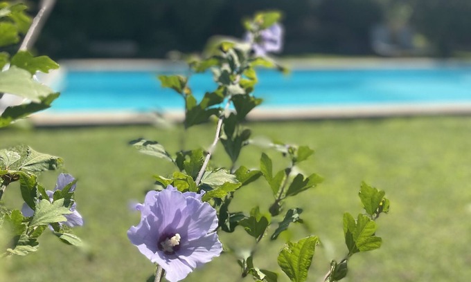Maussane-les-Alpilles Other | Mas de Charme Dans les Alpilles Avec Piscine, Belles Prestations