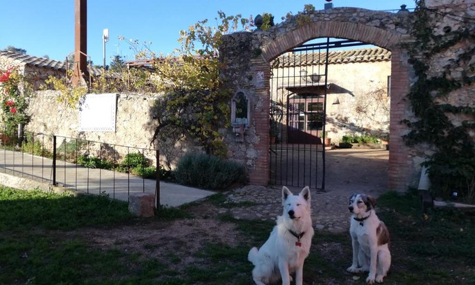 Sobrestany Bed & Breakfast | Mas Del Llop Blanc - Dog friendly Hostal Rural - B&B