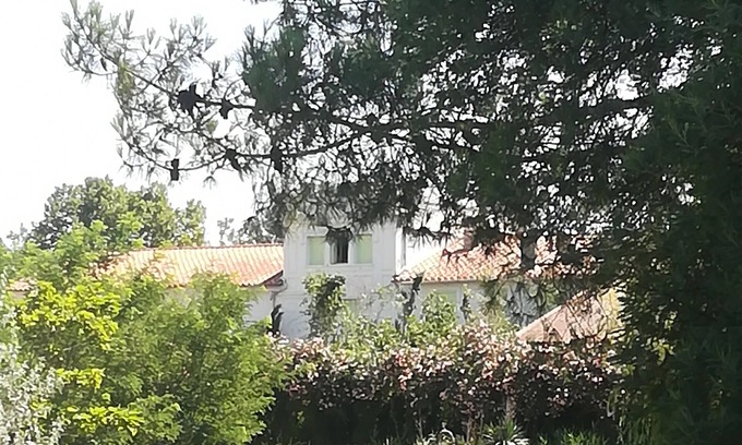 Sainte-Marie-la-Mer House | Mas des Marbres Sauvages property 32 people