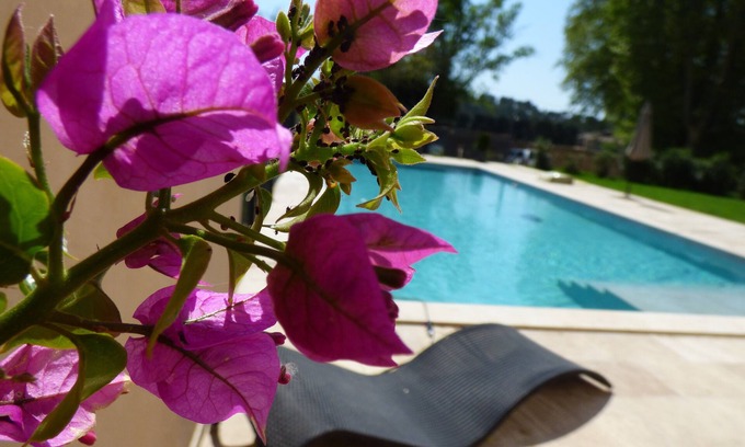 Maussane-les-Alpilles Other | Mas Saint Roman in the Alpilles La Pichoulino