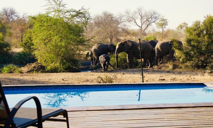 Maruleng Cabin | Masodini Game Lodge