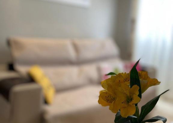 Massaguacu House | Massagua House