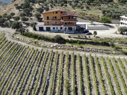 Satriano Bed & Breakfast | Masseria Petrella