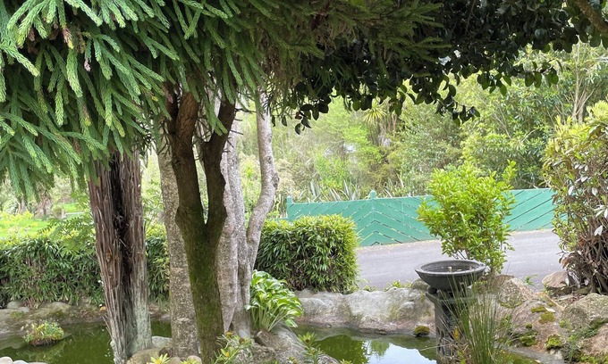 Murchison Hotel | Mataki Motels