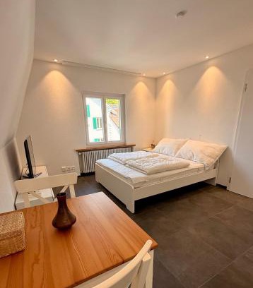 Schaffhausen Apartment | Max Apartments