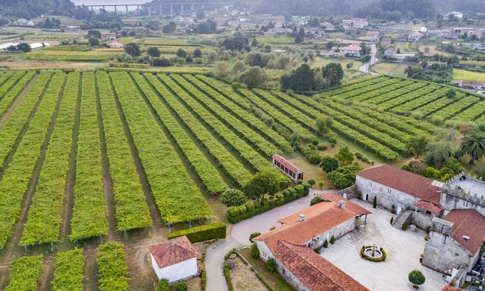 Portas Villa | Medieval manor among vineyards for 12 guests. Large gazebo with barbecue and garden