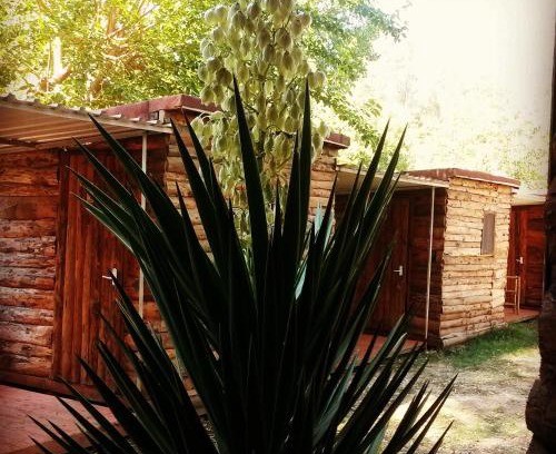 Patara Other | Medusa Camping