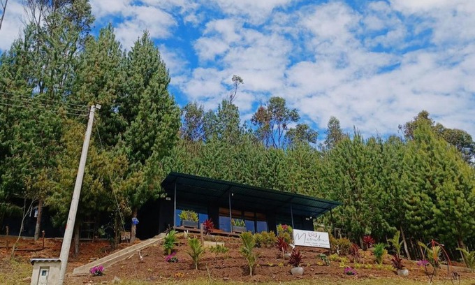 Tibasosa Other | Meraki_Paipa