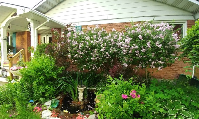 Portland Bed & Breakfast | MERLOT SUNSET-Best BnB value around-BEST BREAKFAST BUFFET included