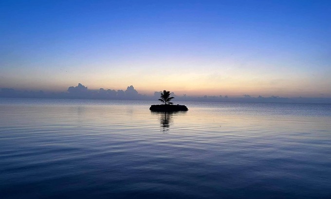 Corozal House | Mermaid Manor! An Island, Pool and Tropical Heaven!