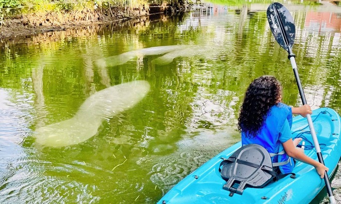 Weeki Wachee Gardens House | MERMAID TAILS-Family Friendly-CLEAR KAYAK-EARLY CHECK-IN & LATE CHECKOUT AVAIL!