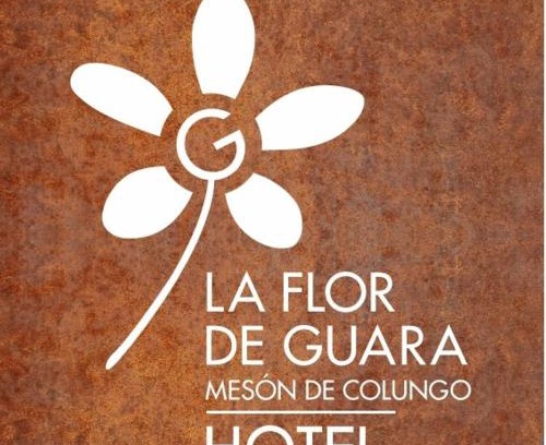 Colungo House | Mesón de Colungo