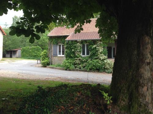 Mary House | Meublé de tourisme "Les brosses tillots"