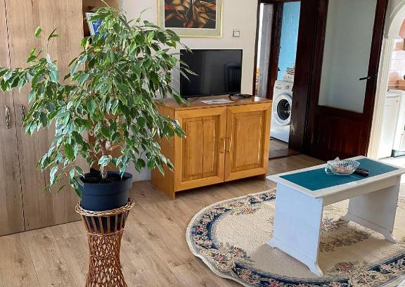 Pirot Apartment | Mićin dom