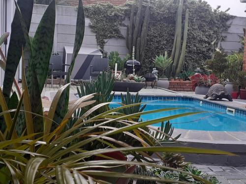 Trawal Apartment | Mi Amor Accommodation