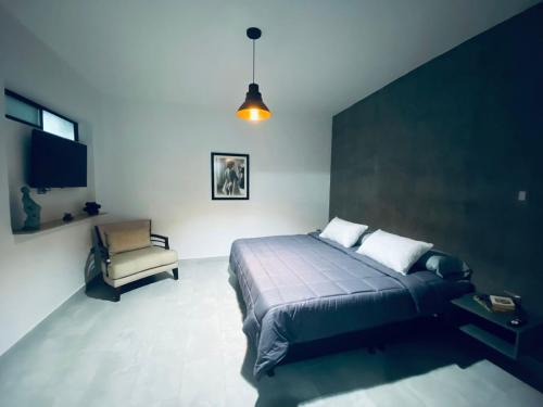 Laureles - Estadio Hotel | Mi Medellin Hotel Sede Laureles