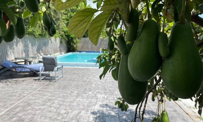 Ives Estates House | Miami Private Home with Large Pool