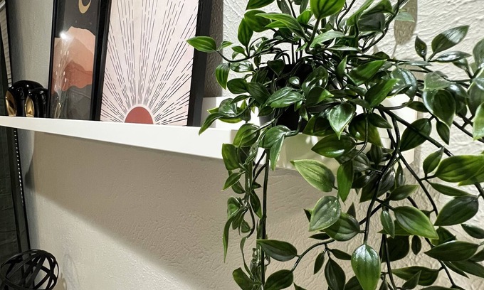 Oak Cliff Apartment | Mid-century designed Oak Cliff studio