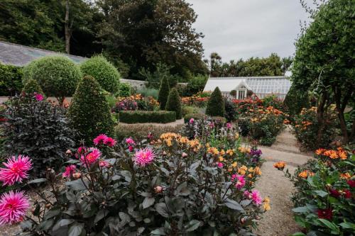 Niton Cabin | Midori Lodge