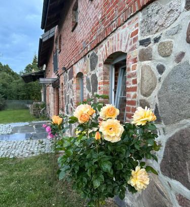 gmina Filipow Villa | Mierunia Nature