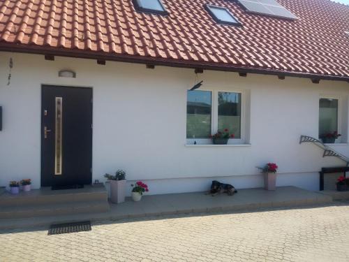 Bartazek Apartment | Mieszkanie nad jeziorem Olsztyn