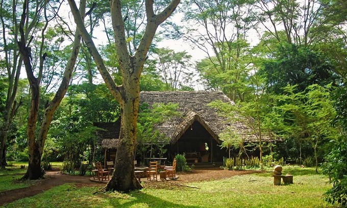 Lake Manyara National Park Cabin | Migunga Tented Camp