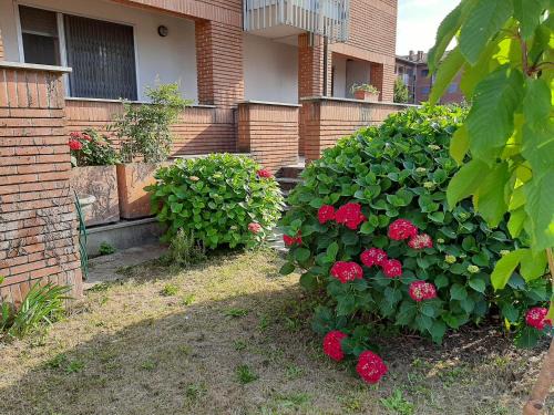Peschiera Borromeo Apartment | Milano Linate Airport Apartment