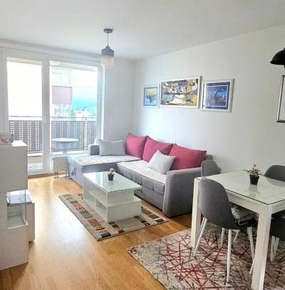 Alipasin Most Apartment | Miljacka Apartment