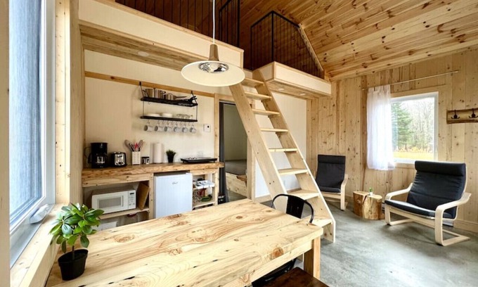 Saint-Gabriel-de-Valcartier Ski Chalet | Mini cottage # 3 by the river banks