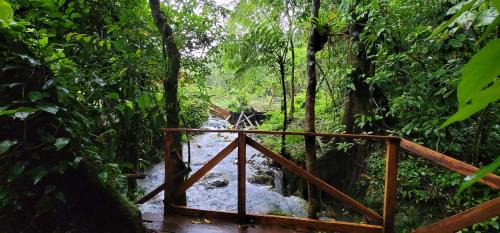 Guayabo Bed & Breakfast | Mineral River Eco Village