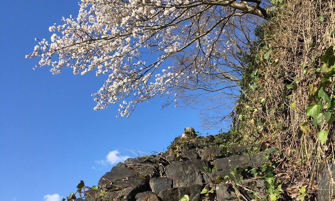 Tsuwano-cho House | Minsyuku Satoyama
