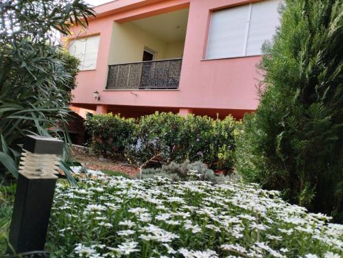 Ravno Apartment | Miran