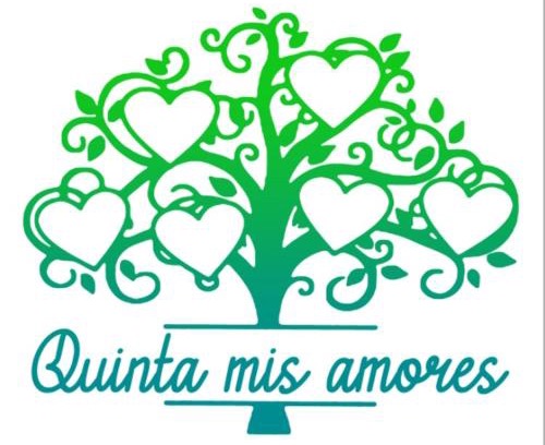 Los Naranjos House | Mis Amores