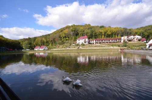Ternopil's'ka oblast Hotel | MishyN-City Hotel