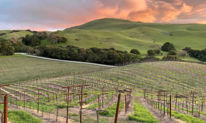 Mount Hamilton Other | Mission Peak Ranch: Farm Stay