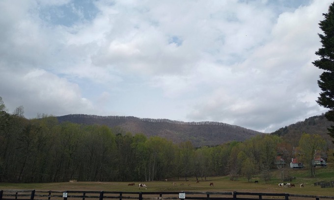 Cleveland House | Missy's Mountain Lake Getaway